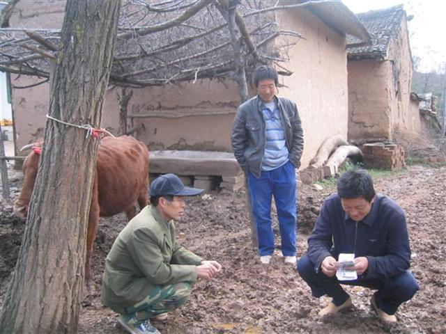 鸭脖官网登录