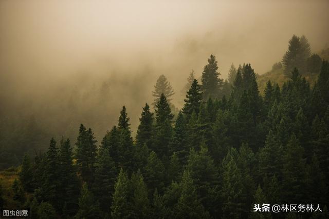 鸭脖官网登录